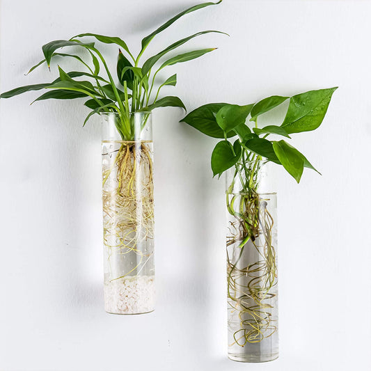 Wall-Mounted Plant Terrarium Propagation Station - 4 Cylinder Hanging Glass Tubes Planter for Hydroponic Plants, Indoor Wall Vases & Decorative Plant Holder Bathroom Office Living Room Decor